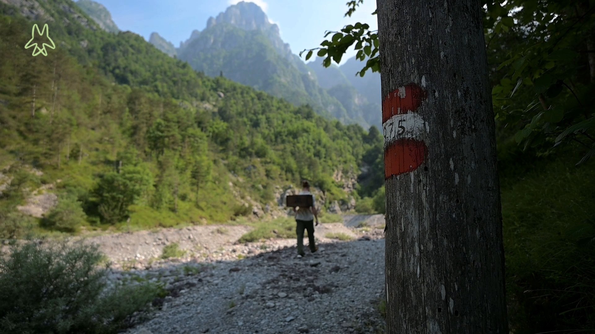 Raggiungiamo il torrente Ledron